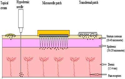 Recent advances and future prospective of topical and transdermal delivery systems